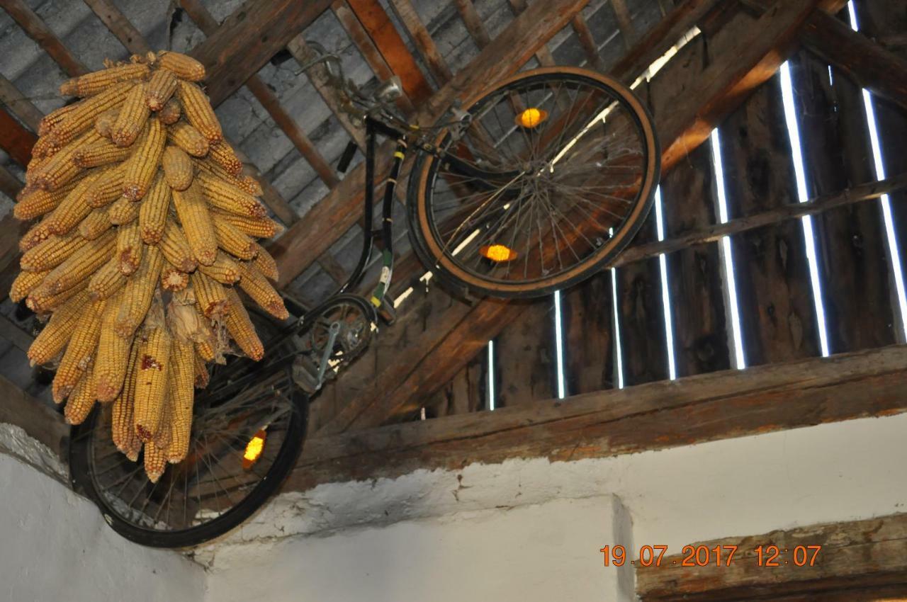 Appartmenthaus Josefikeller Podersdorf am See Exterior foto